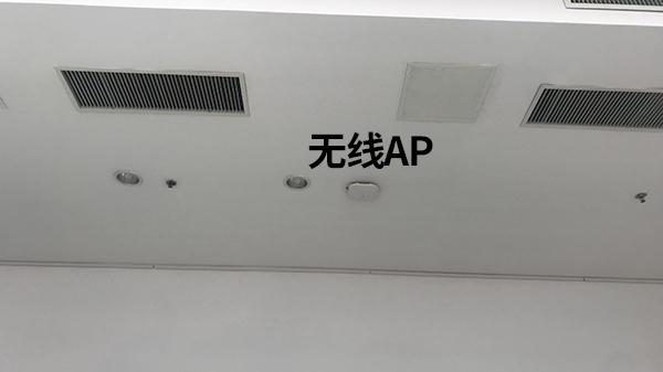 蜜桃AV网址大全與**園的軟件平台開發會議輔圖2