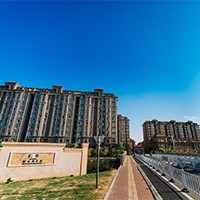 澱山湖花園蜜桃AV网站免费观看