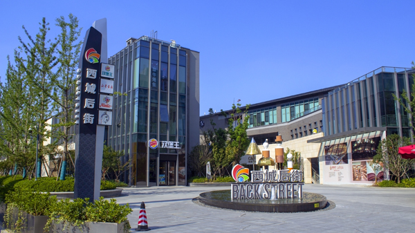 西城後街城市綜合體蜜桃AV网站免费观看