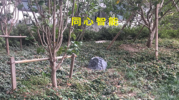 蜜桃AV网址大全助力活動