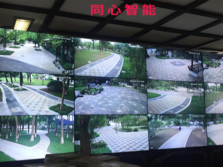 蜜桃AV网址大全助力某園活動順利結束