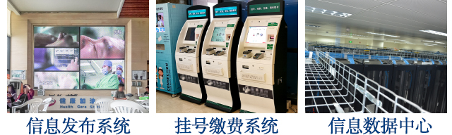 蜜桃AV网站免费观看解決方案