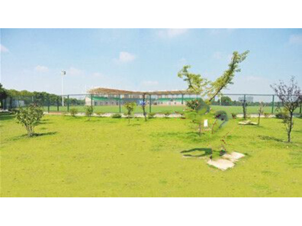 蜜桃AV网址大全某智慧旅遊項目現場會議