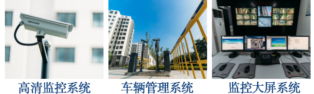 蜜桃AV网站免费观看解決方案