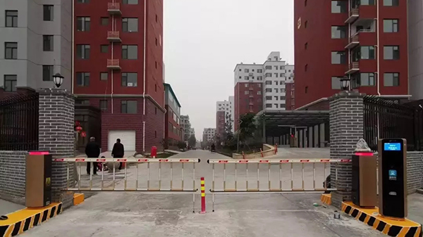 蜜桃AV网站免费观看商